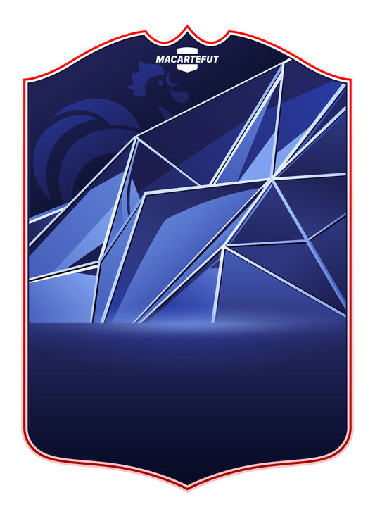 NAT France